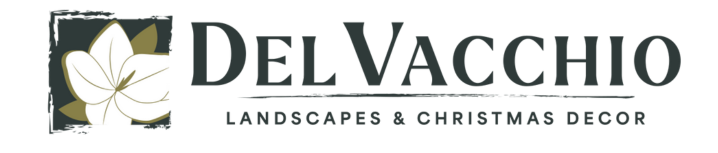 Del Vachhio Del Vachhio