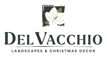Del-Vacchio_Logo_FullColor_V