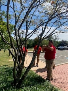 Landscaping Services in West Chester PA