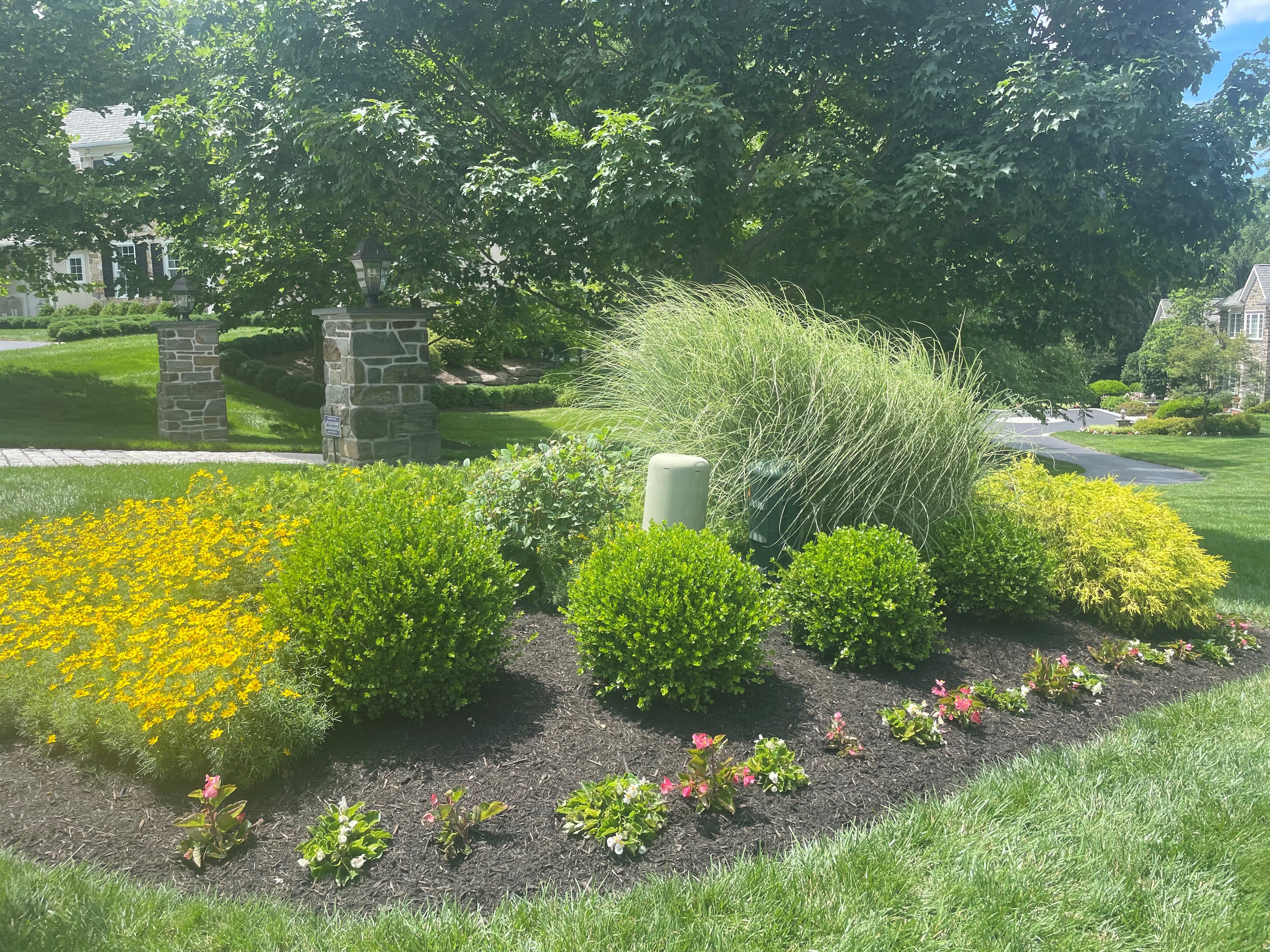 Driveway Landscaping Services