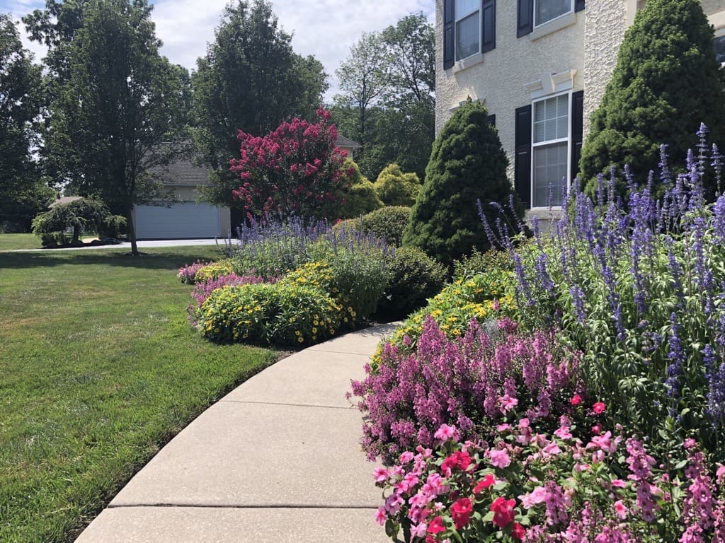 Berwyn PA Landscape Maintenance 