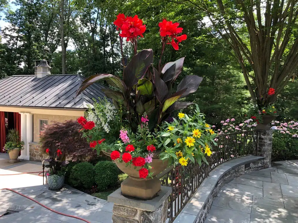 MicrosoftTeams-image-18-1