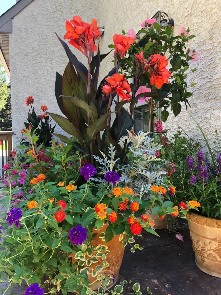 MicrosoftTeams-image-23