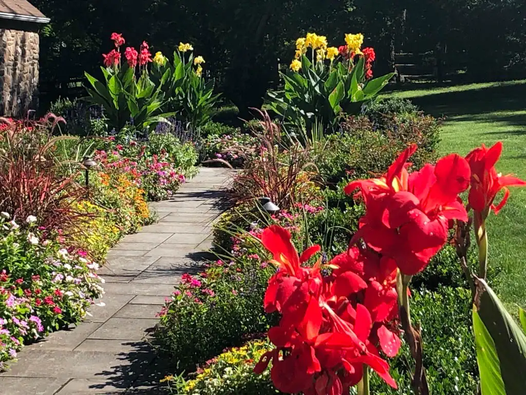 MicrosoftTeams-image-24