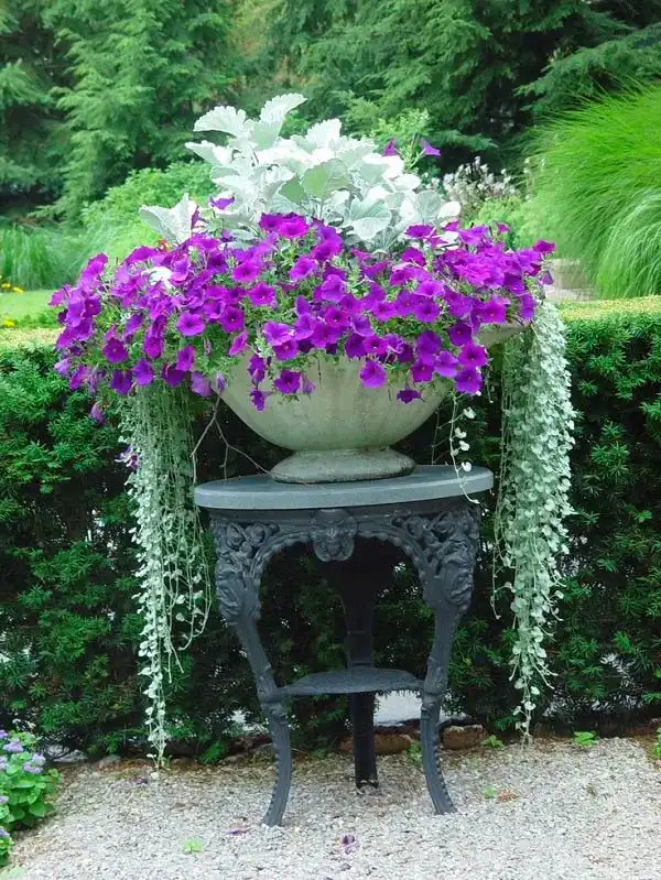 Summer-Arrangements-for-containers