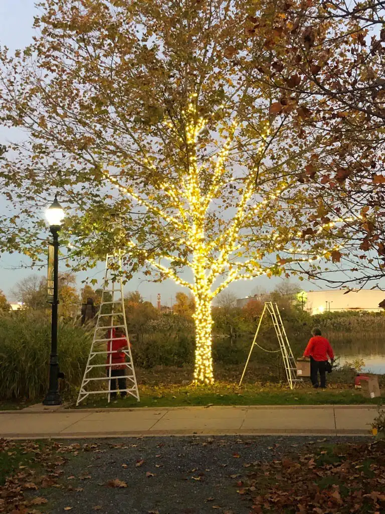 MicrosoftTeams-image-21